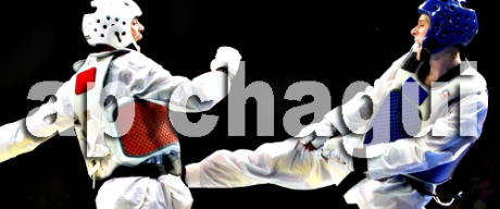 taekwondo Ap Chagui copia